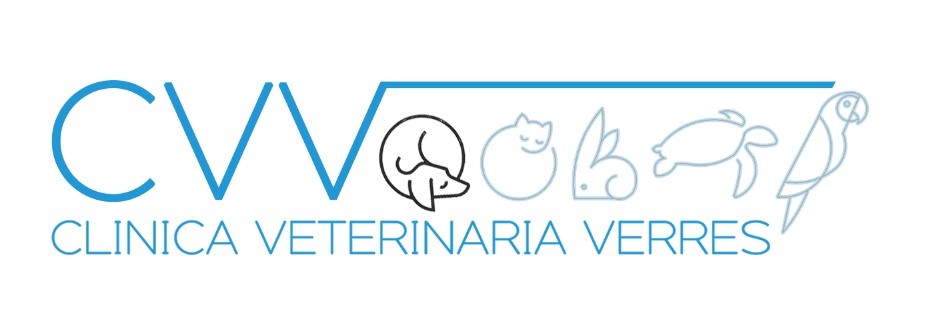 Clinica Veterinaria Verrès – torna all'inizio